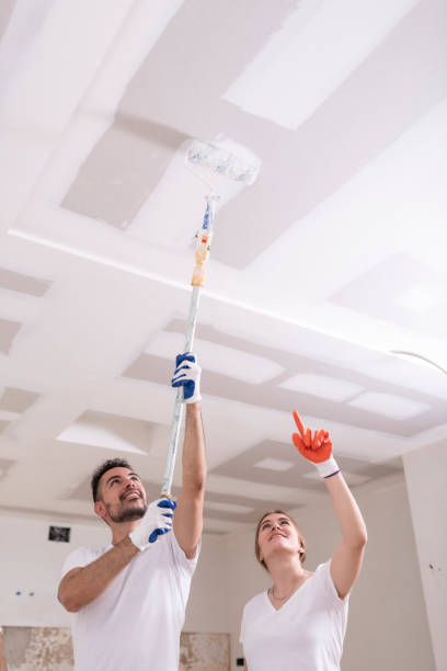 Best Basement Mold Removal  in Morgantown, PA