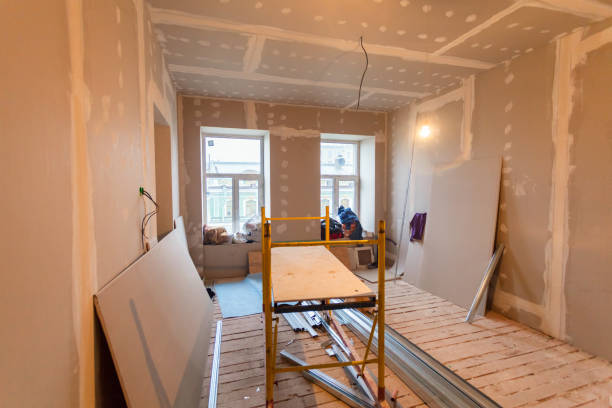 Best Mold Damage Restoration  in Morgantown, PA
